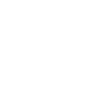 Logo West15 weiß